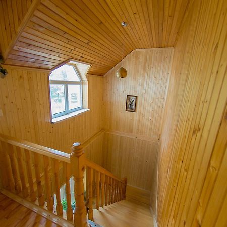 Guest House Suzirya Karpat Jaremtsje Eksteriør bilde